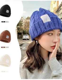          Free Shipping Ladies Knitted Hats