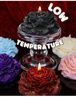                                                          【Preorder】Galaxy Flora Candle 80g