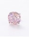                                                          【Preorder】Rose Rhinestone 6mm/ 8mm Titanium Earrings