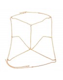                                                          【Preorder】Electroplated Gold Silvery-Plated Body Necklace