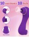                                                          【Preorder】Limited Doubled Acc