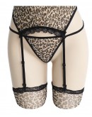                                                          【Ready Stock】Leopard Patterned Sexy Lingeries Set