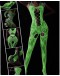                                                          【Preorder】40kg-60kg Night Fluorescence Sexy Lingeries Stockings
