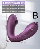                                                          【Preorder】A/B Purple Double