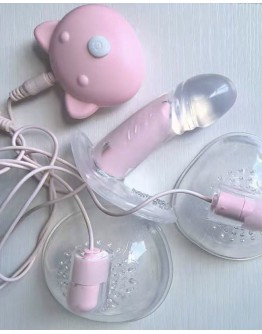                                                                【READY STOCK】3 in Set Pinky Acc