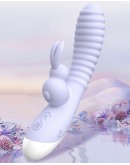                                                          【Preorder】3D Rabbit Style Sexy Lingeries Accessories