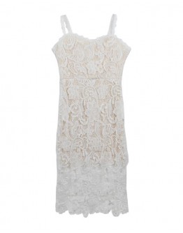        FREE SHIPPING LACE FITTED DRESS