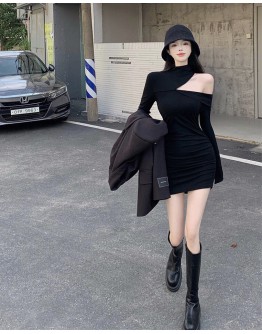          Free Shipping Turtlenecks Fitted Dress